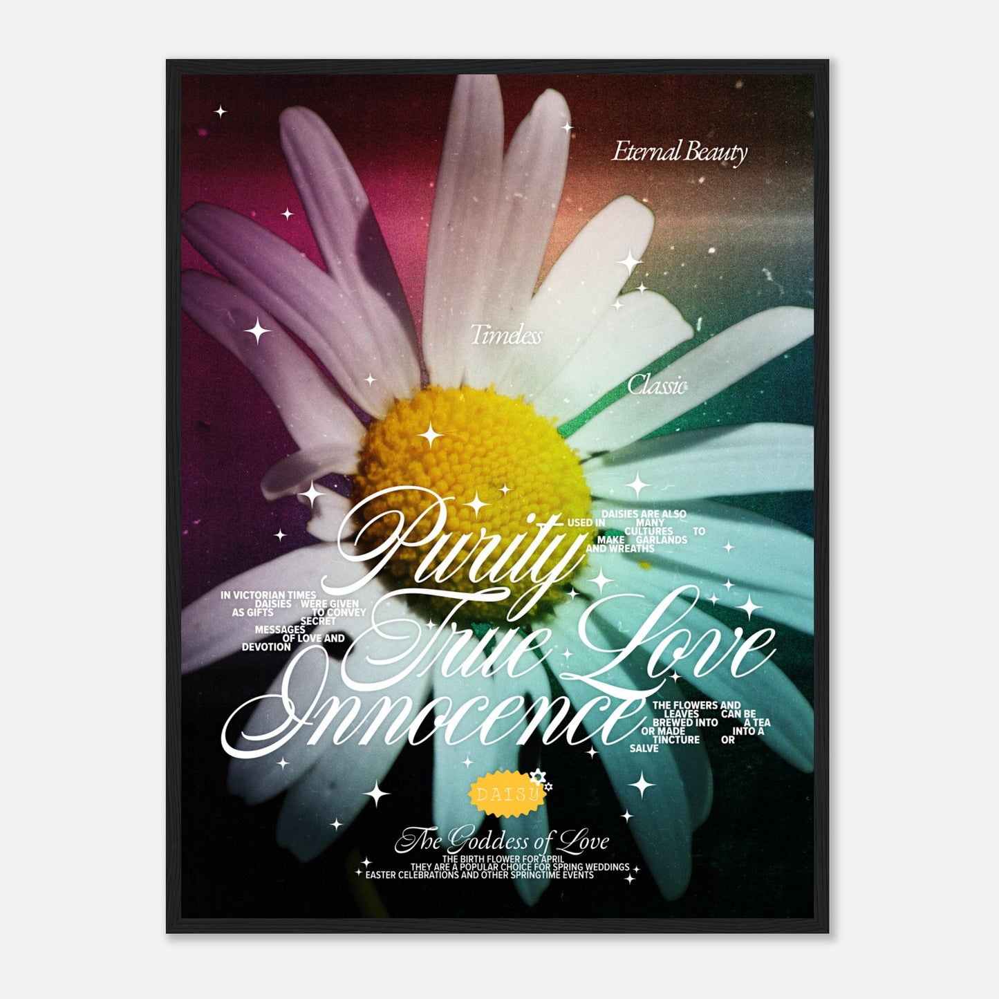 Birth Flower For April: Daisy