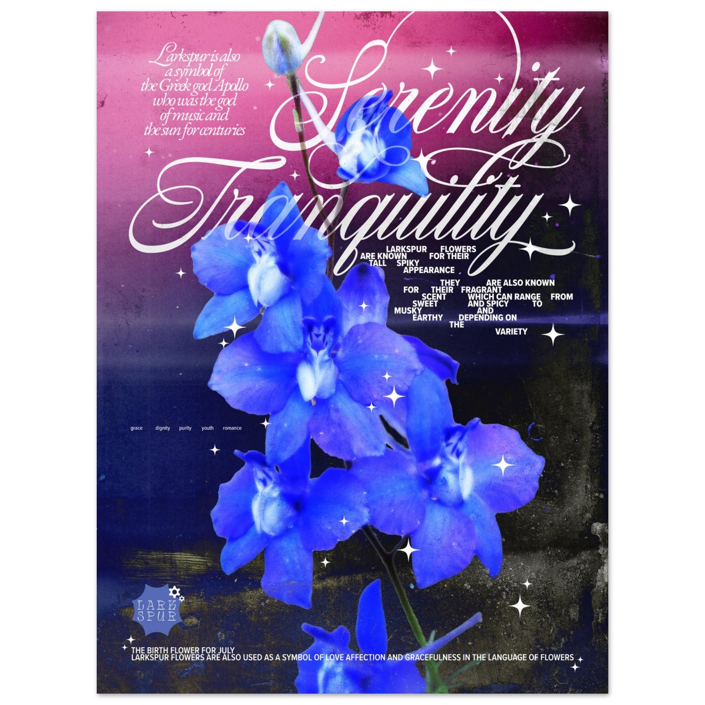 Birth Flower For July: Larkspur