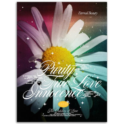 Birth Flower For April: Daisy